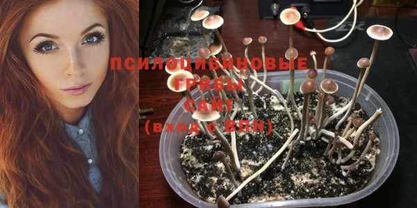 таблы Горняк